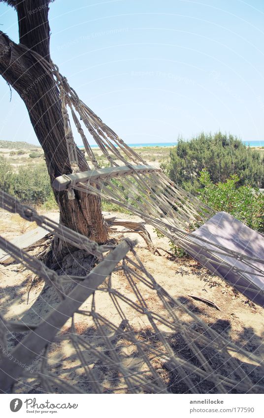 hangin' loose Außenaufnahme Menschenleer Textfreiraum oben Tag Schatten Sonnenlicht Erholung ruhig Ferien & Urlaub & Reisen Tourismus Ferne Freiheit Camping