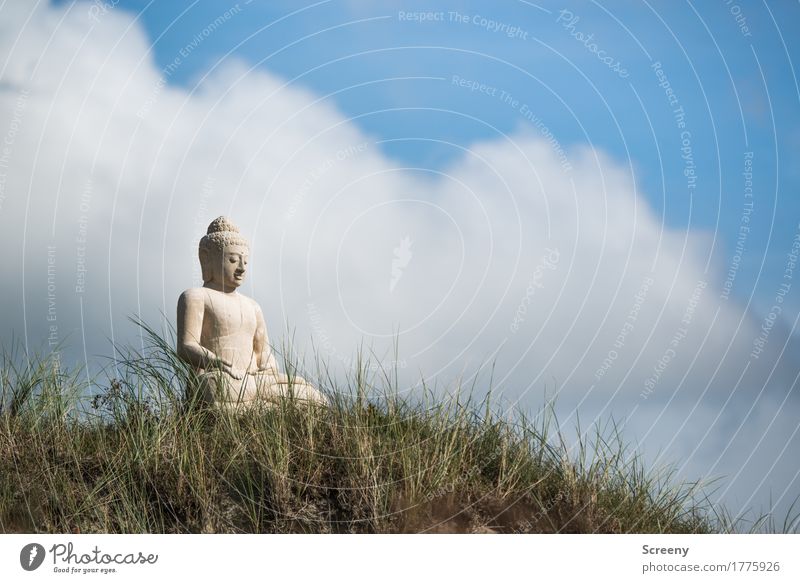 Gelassenheit Erholung ruhig Meditation Ferien & Urlaub & Reisen Tourismus Sommer Natur Himmel Wolken Schönes Wetter Gras Nordsee Insel Norderney Düne sitzen