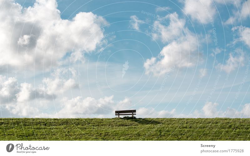 Beste Aussicht garantiert... Ferien & Urlaub & Reisen Tourismus Ausflug Ferne Freiheit Sommer Sommerurlaub Sonne Natur Landschaft Himmel Wolken Schönes Wetter