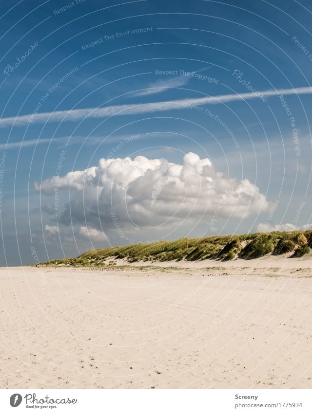 Über den Dünen... Ferien & Urlaub & Reisen Tourismus Ausflug Ferne Sommer Sommerurlaub Strand Meer Insel Natur Landschaft Himmel Wolken Schönes Wetter Gras