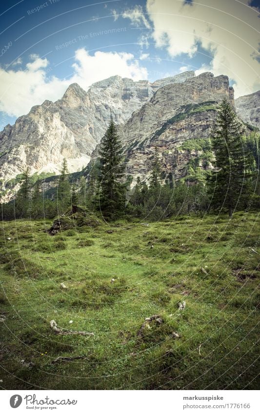 pragser wildsee Zufriedenheit Sinnesorgane Erholung ruhig Meditation Freizeit & Hobby Berge u. Gebirge wandern Landschaft Sommer Klima Schönes Wetter Pflanze