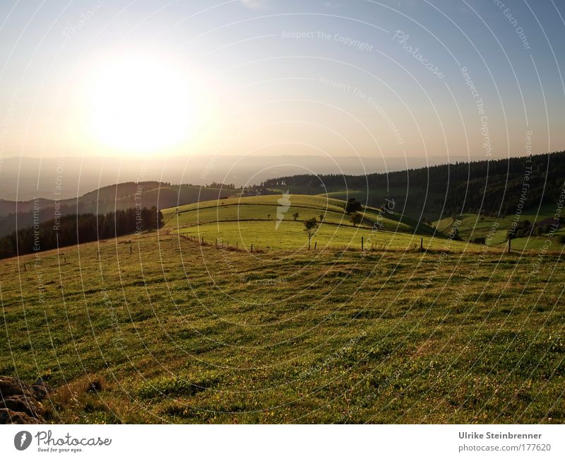 Abendstimmung mit Wiesen auf dem Schauinsland im Schwarzwald Farbfoto Außenaufnahme Menschenleer Textfreiraum oben Textfreiraum unten Totale Natur Landschaft