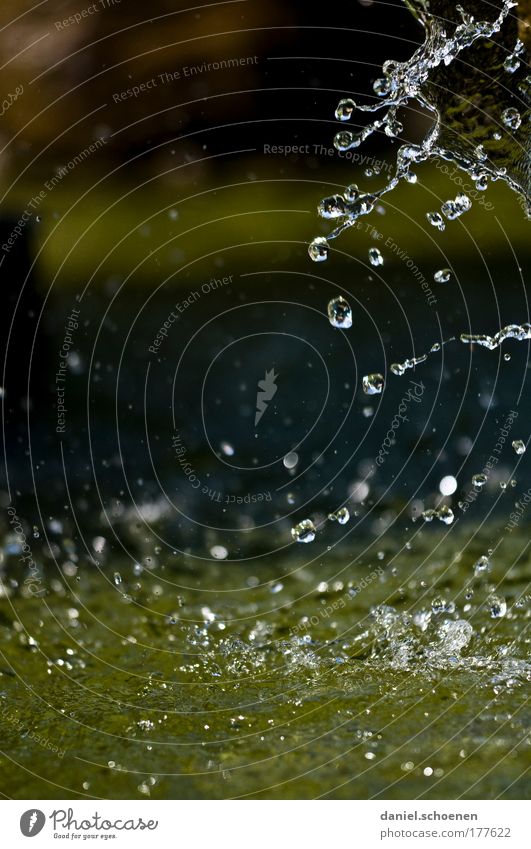 Hexentalbrunnen Makroaufnahme Textfreiraum links Textfreiraum oben Textfreiraum Mitte Natur Wasser Wassertropfen Wasserfall Flüssigkeit Sauberkeit Bewegung