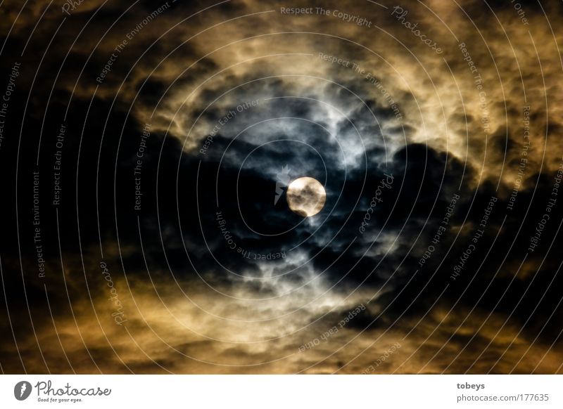 Wolfszeit Wolken Gewitterwolken Nachthimmel Sonne Sonnenfinsternis Sonnenaufgang Sonnenuntergang Sonnenlicht Mond Mondfinsternis Vollmond Klimawandel Wetter