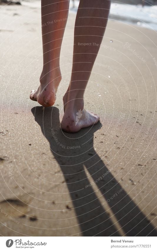 Spätausläufer Ferien & Urlaub & Reisen Sommer Sommerurlaub Sonne Strand Meer Mensch maskulin Fuß 1 8-13 Jahre Kind Kindheit Gefühle Stimmung gehen Spuren Wasser