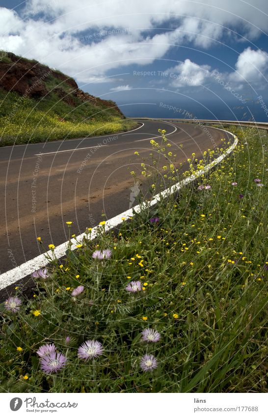 Begleitgrün Farbfoto mehrfarbig Außenaufnahme Tag Kontrast Sonnenlicht Starke Tiefenschärfe Ferien & Urlaub & Reisen Berge u. Gebirge Umwelt Natur Landschaft