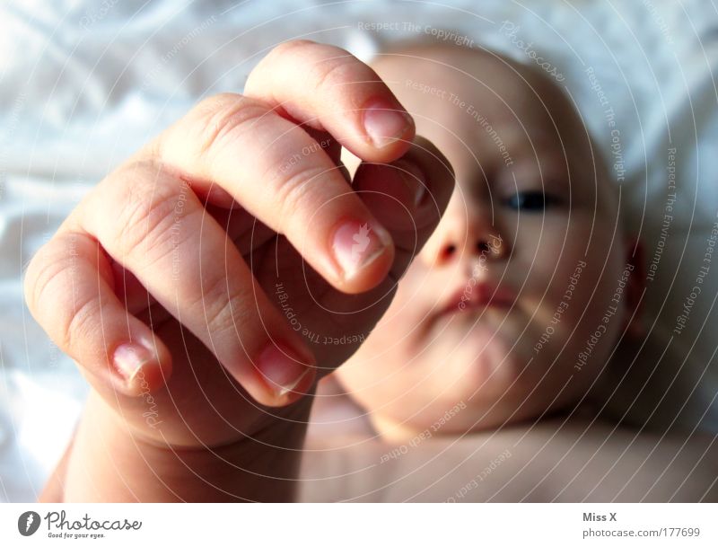 Her mit der Kamera, her mit der Mama! ALLES MEINS!!! Farbfoto Gedeckte Farben Innenaufnahme Nahaufnahme Detailaufnahme Hintergrund neutral Tag Vogelperspektive