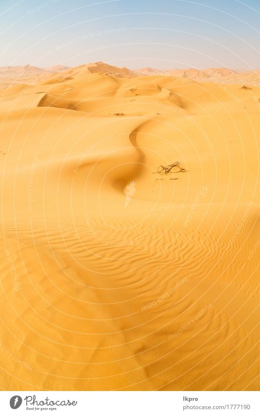 leeres Viertel und im Freien schön Ferien & Urlaub & Reisen Tourismus Abenteuer Safari Sommer Sonne Natur Landschaft Sand Himmel Horizont Park Hügel heiß wild