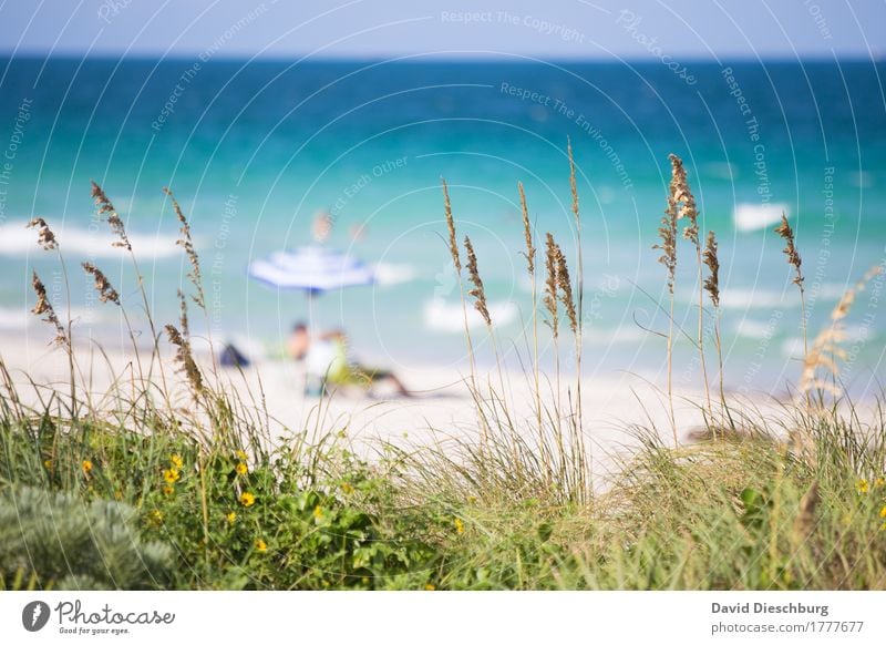 Strandidylle Ferien & Urlaub & Reisen Tourismus Ferne Sommer Sommerurlaub Sonne Sonnenbad Meer Insel Wellen Mensch 2 Landschaft Wolkenloser Himmel