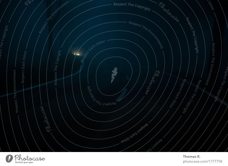 Gegenverkehr Nebel Baum Verkehr Straßenverkehr Autofahren Verkehrsunfall Fahrzeug PKW bedrohlich dunkel gruselig kalt achtsam Wachsamkeit Angst Todesangst