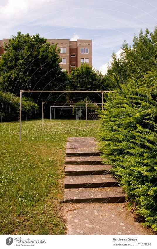 Wäscheplatz Farbfoto Außenaufnahme Menschenleer Tag Schönes Wetter Baum Hecke Wiese Dresden Gorbitz Stadt Haus Plattenbau Treppe Wege & Pfade Wäscheleine