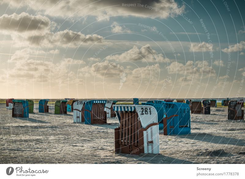 Geschlossene Gesellschaft Ferien & Urlaub & Reisen Tourismus Ausflug Sommer Sommerurlaub Sonnenbad Strand Meer Natur Landschaft Himmel Wolken Schönes Wetter