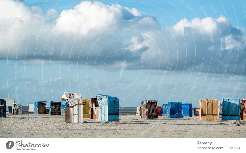 Durcheinander Ferien & Urlaub & Reisen Tourismus Ausflug Abenteuer Ferne Sommer Sommerurlaub Sonnenbad Strand Meer Himmel Wolken Schönes Wetter Nordsee