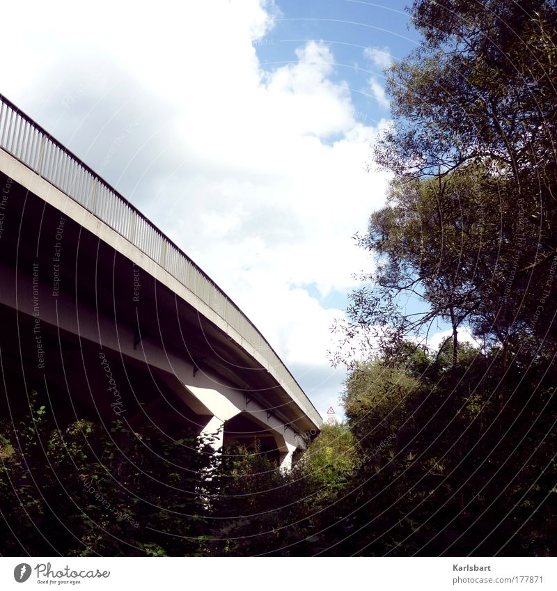 stadtaffe. Sightseeing Sommer Wirtschaft Güterverkehr & Logistik Natur Landschaft Himmel Wolken Baum Sträucher Grünpflanze Park Wald Urwald Brücke Verkehr