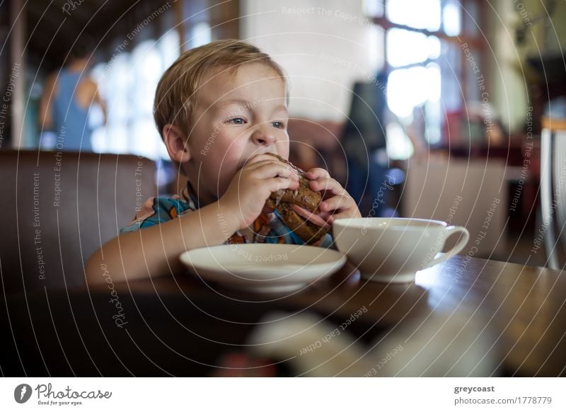 Kleiner Junge in einem Café essen große leckere Sandwich. Hungrig Kind Wurstwaren Brot Frühstück Mittagessen Abendessen Tee 1 Mensch 1-3 Jahre Kleinkind blond