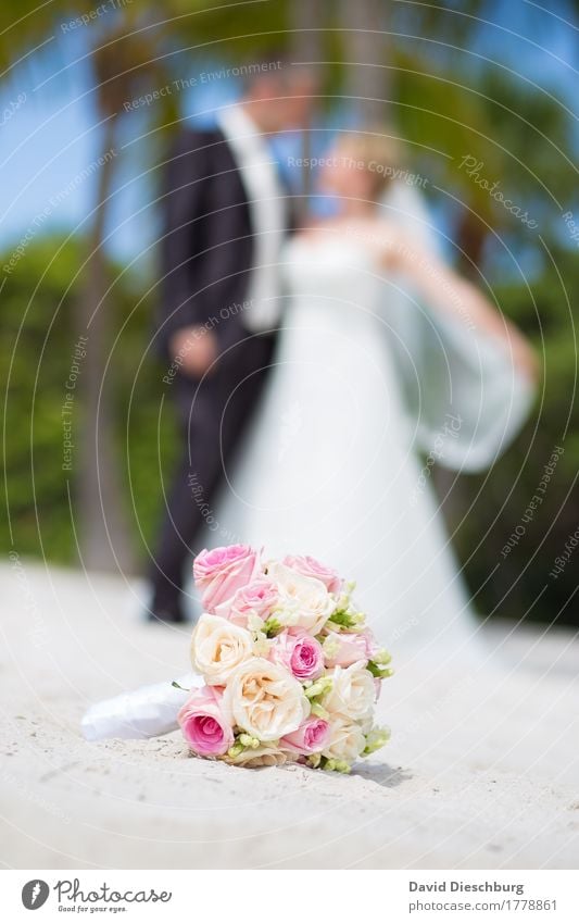 Strandhochzeit Ferien & Urlaub & Reisen Sommerurlaub Meer Hochzeit maskulin feminin Paar Partner 2 Mensch Glück Fröhlichkeit Zufriedenheit Zusammensein Liebe