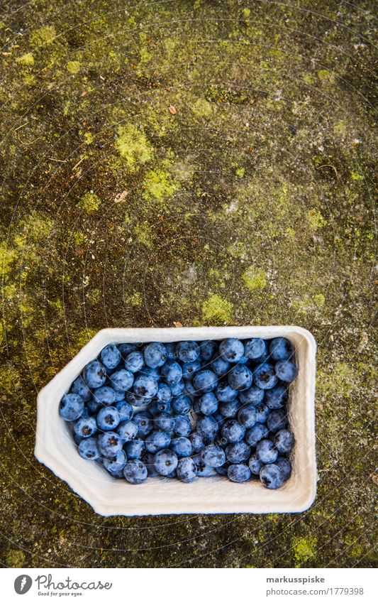 frische bio blaubeeren ernte Lebensmittel Frucht Blaubeeren Sammlung Ernte selbstverpflegung urban gardening Ernährung Essen Lifestyle Gesunde Ernährung Haus