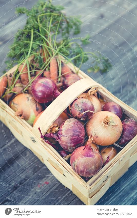 frische bio ernte urban gardening Lebensmittel Gemüse Kräuter & Gewürze Zwiebel Möhre Korb Ernte Erntedankfest selbstverpflegung anbauen Ernährung Essen