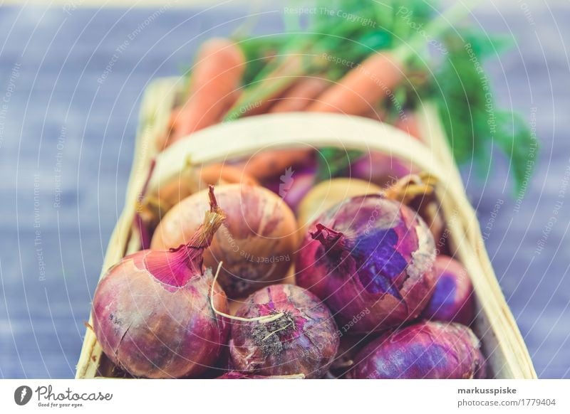 urban gardening gemüse ernte Lebensmittel Gemüse Salat Salatbeilage Zwiebel Möhre Erntedankfest Ernährung Picknick Bioprodukte Vegetarische Ernährung Diät