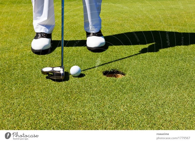 Golf: Golfspieler auf dem Putting Green, bereitet sich vor zu setzen Freude Erholung Spielen Sommer Sport Golfplatz Mann Erwachsene Fuß Hose Schuhe stehen grün