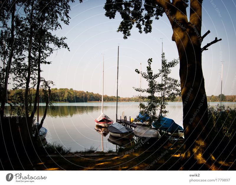 Privatsphäre Umwelt Natur Landschaft Wolkenloser Himmel Horizont Klima Schönes Wetter Baum Sträucher Küste Insel See Segelboot Anlegestelle Steg Erholung ruhig