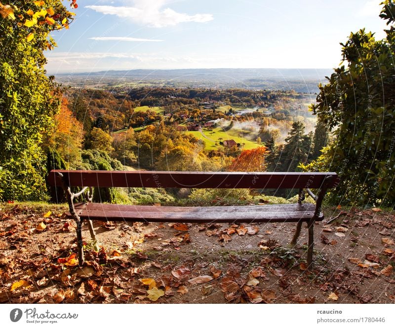 Bench in einem Park mit Blick auf die Landschaft in der Herbstsaison Sommer Natur Pflanze Baum Wald gelb grün farbenfroh horizontal viele Wildnis Bank fallen