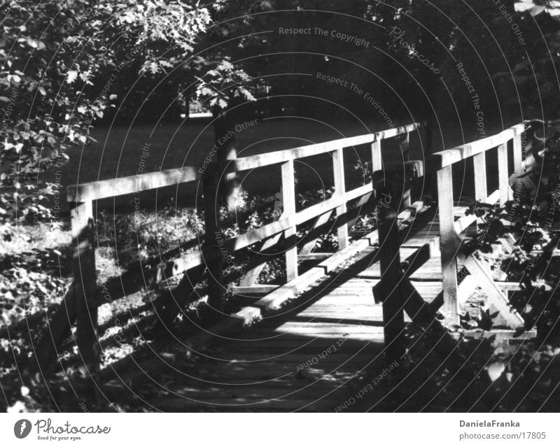 Wohin des Weges? Holz Wald Schwarzweißfoto Brücke Wege & Pfade Natur Schatten Sonne