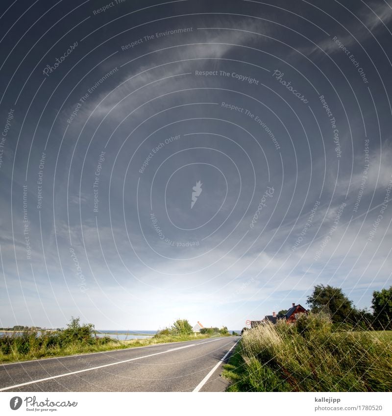 rata-rata-radatadada ... Umwelt Natur Landschaft Pflanze Tier Himmel Wolkenloser Himmel Baum Wiese Feld Küste Bucht Ostsee Meer Verkehr Verkehrswege