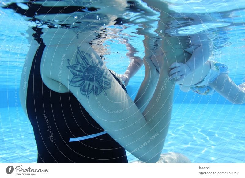 hElferlein Farbfoto Gedeckte Farben Außenaufnahme Nahaufnahme Unterwasseraufnahme Tag Licht Sonnenlicht Zentralperspektive Oberkörper Schwimmen & Baden