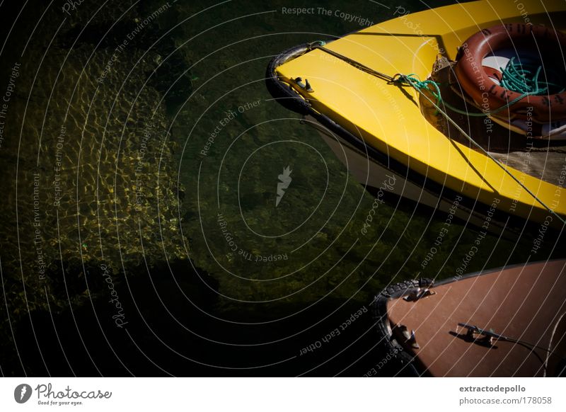 Farbfoto Außenaufnahme Menschenleer Morgen Licht Schatten Kontrast Silhouette Schwache Tiefenschärfe Vogelperspektive Blick nach unten Wassersport Natur