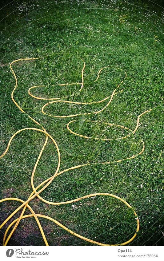 Kreuz & Quer Farbfoto Außenaufnahme Detailaufnahme Strukturen & Formen Menschenleer Tag Kontrast Blick nach vorn Umwelt Natur Pflanze Schönes Wetter Gras Garten