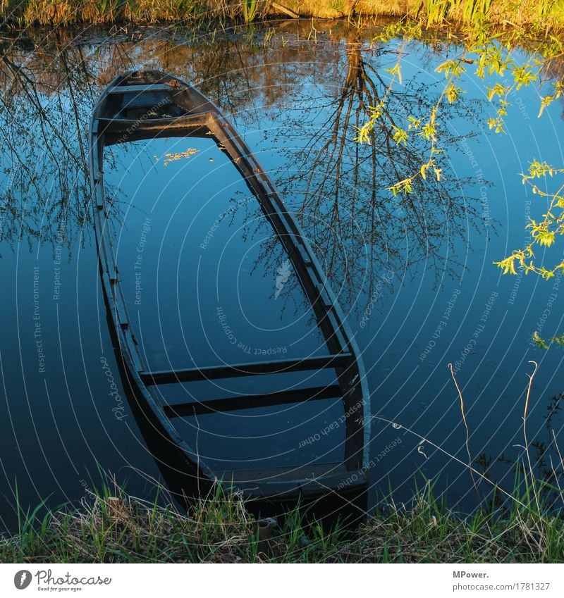 herbst an der spree Natur Herbst Pflanze Seeufer Flussufer nass Wasserfahrzeug Spree Spreewald untergehen Wasseroberfläche Fischerboot Baum alt kaputt Farbfoto