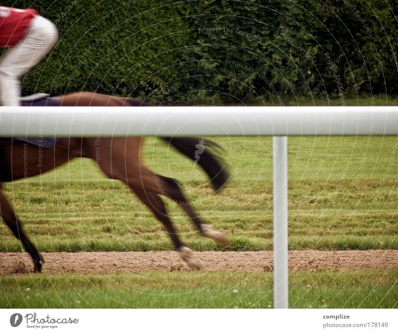 Western von gestern Farbfoto Außenaufnahme Textfreiraum rechts Textfreiraum oben Freude Glück Reiten Sport Reitsport Sportler Pokal Erfolg Rennbahn