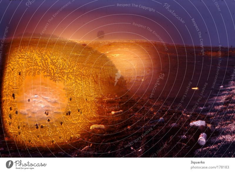 flutsaum Farbfoto mehrfarbig Außenaufnahme Nahaufnahme Experiment abstrakt Muster Strukturen & Formen Menschenleer Tag Lichterscheinung Kunst Umwelt Urelemente