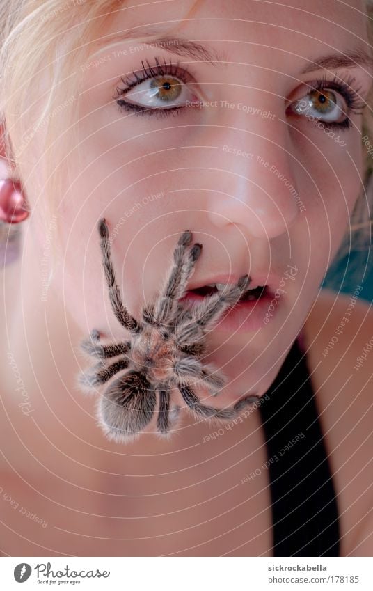 arachnophobia Farbfoto Gedeckte Farben Innenaufnahme Tag Porträt Blick nach oben Mensch feminin Junge Frau Jugendliche Erwachsene Freundschaft 1 18-30 Jahre