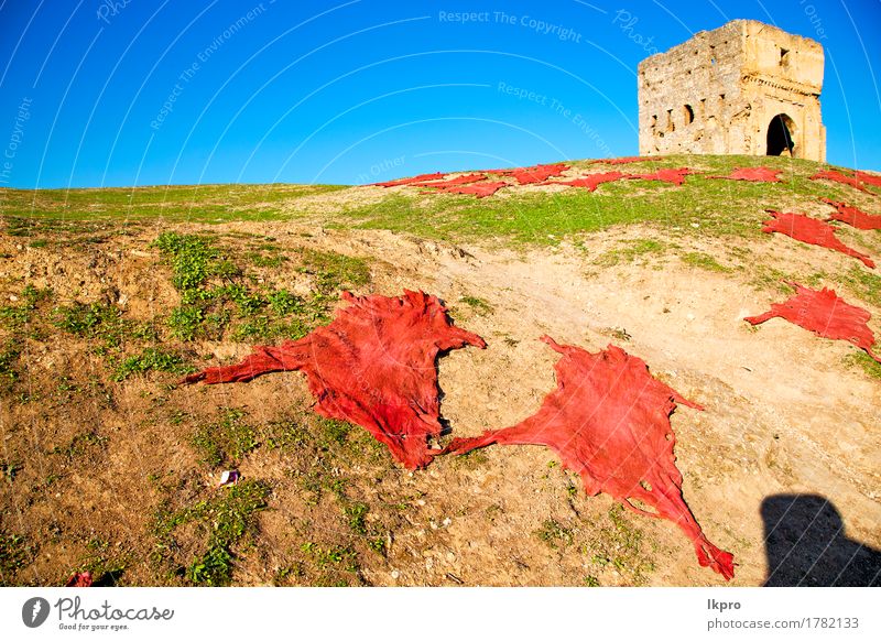 Sanddüne in Oman alten Wüste Rub al khali Haut Ferien & Urlaub & Reisen Tourismus Sommer Berge u. Gebirge Handwerk Business Tier Hügel Burg oder Schloss Ruine