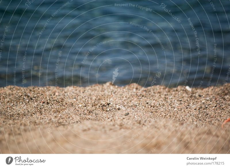 Urlaub. Farbfoto Gedeckte Farben Außenaufnahme Menschenleer Textfreiraum oben Textfreiraum unten Tag Licht Kontrast Schwache Tiefenschärfe Zentralperspektive