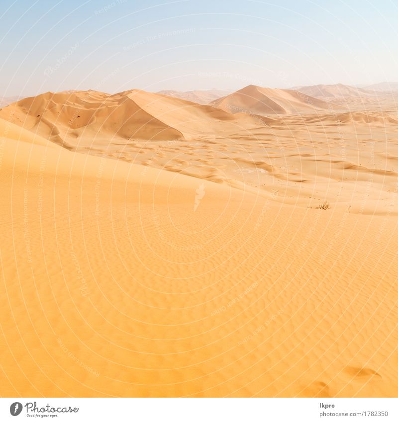 Sanddüne in Oman alten Wüste Rub al khali schön Ferien & Urlaub & Reisen Tourismus Abenteuer Safari Sommer Sonne Natur Landschaft Himmel Horizont Park Hügel