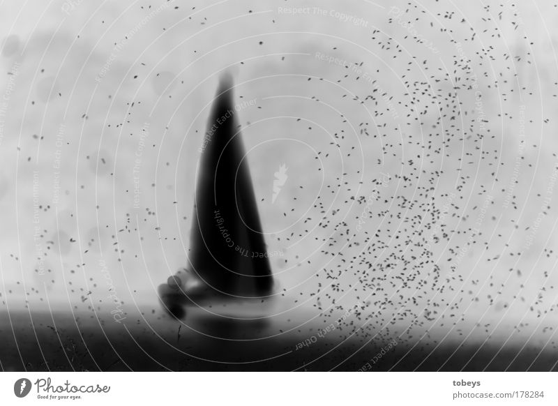 Hart am Wind Segeln Ferien & Urlaub & Reisen Ausflug Ferne Freiheit Expedition Wasser Gewitter Meer See entdecken außergewöhnlich dunkel Unendlichkeit Hoffnung