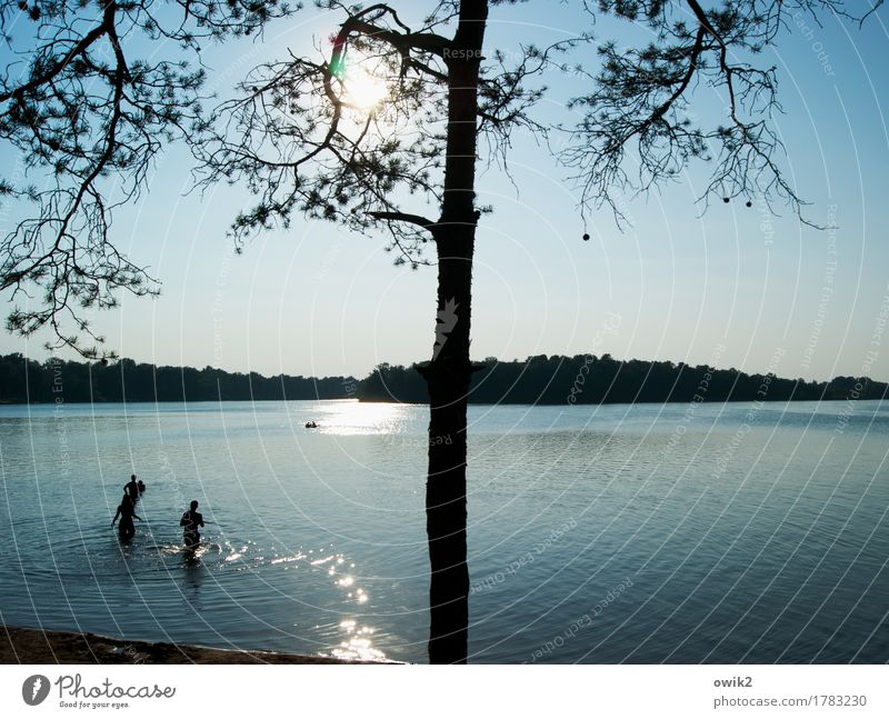 Planschbecken Freude Freizeit & Hobby Sommerurlaub Sonnenbad Strand Junge Frau Jugendliche Junger Mann 4 Mensch Menschengruppe 18-30 Jahre Erwachsene Umwelt