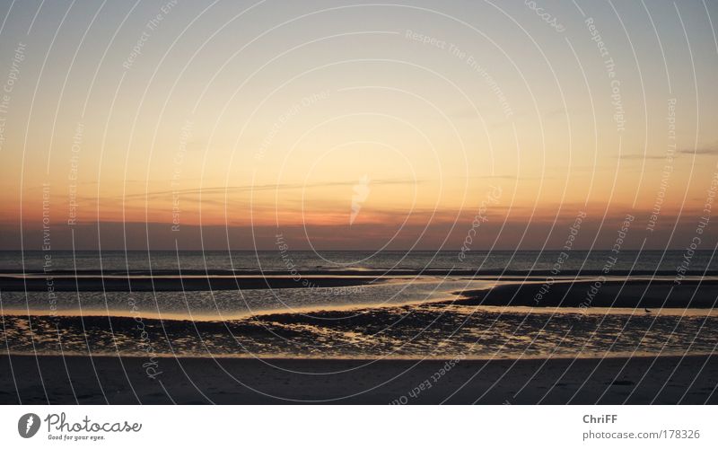 Kühl war's... Ferien & Urlaub & Reisen Strand Meer Insel Wellen Natur Wasser Himmel Schönes Wetter Nordsee Amrum Unendlichkeit Macht Fernweh Gewalt Einsamkeit