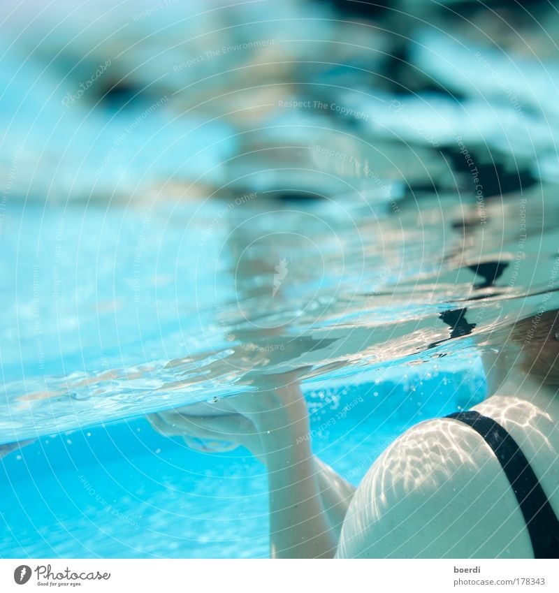 wAsserstuff Schwimmbad feminin Frau Erwachsene Schulter 1 Mensch Wasser Schwimmen & Baden blau Stimmung Reinheit Erholung Tourismus Ferien & Urlaub & Reisen