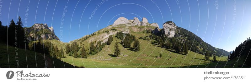 Gämsblick Farbfoto Außenaufnahme Menschenleer Textfreiraum oben Tag Sonnenlicht Panorama (Aussicht) Weitwinkel Tourismus Ausflug Sommer Sommerurlaub