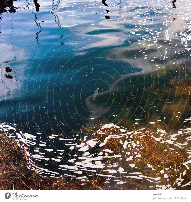 Fischsuppe Umwelt Natur Pflanze Wasser Himmel Schönes Wetter Wasserpflanze Schaum dreckig Wellen glänzend nass natürlich unten blau braun orange Farbfoto