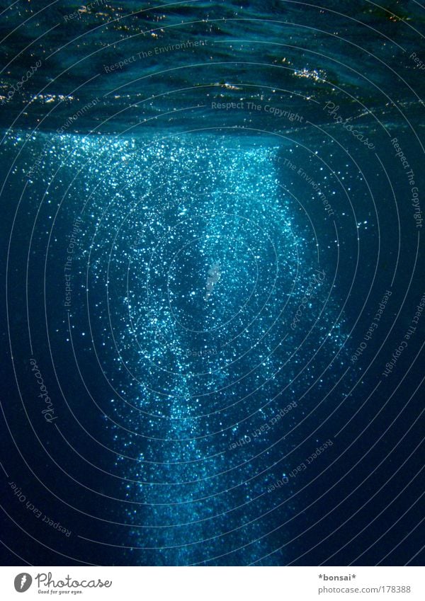 luft steigt nach oben tauchen Natur Urelemente Wasser Sonnenlicht Meer rotes meer atmen dunkel Flüssigkeit nass natürlich blau Wachsamkeit entdecken