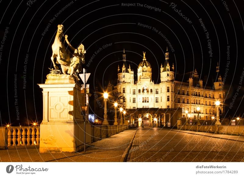 Nachts in Schwerin Skulptur Stadt Hauptstadt Stadtzentrum Altstadt Menschenleer Burg oder Schloss Bauwerk Architektur Landtag Fassade Sehenswürdigkeit Denkmal