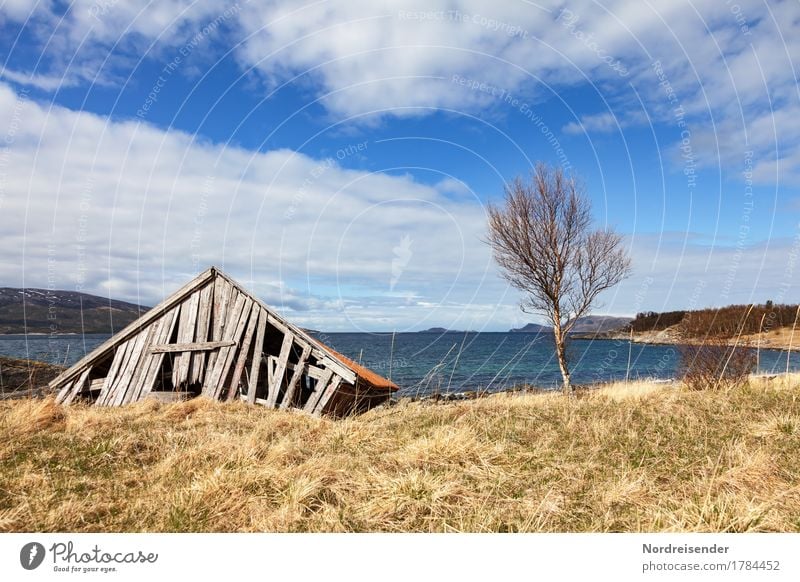 Ausfallerscheinungen Meer Luft Wasser Himmel Wolken Schönes Wetter Baum Gras Wiese Küste Fischerdorf Hütte Bauwerk Gebäude alt kaputt maritim ruhig Einsamkeit