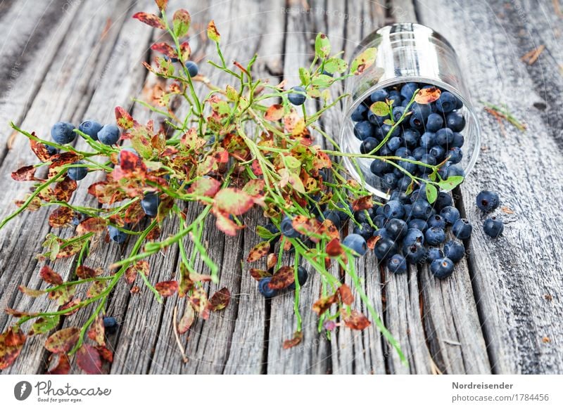 Blaubeerzeit Frucht Ernährung Picknick Bioprodukte Vegetarische Ernährung Fingerfood Glas Ausflug Tisch Sträucher Holz positiv Appetit & Hunger Freizeit & Hobby