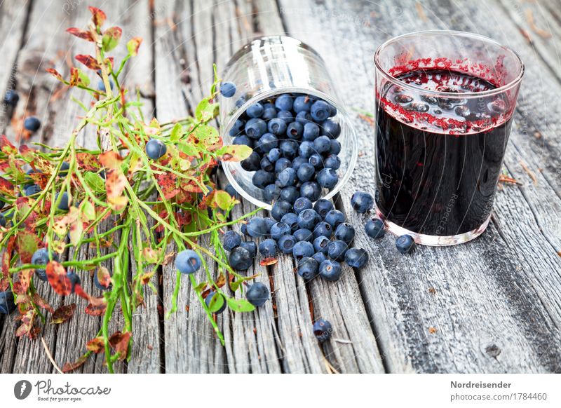 Blaubeeren Lebensmittel Frucht Ernährung Bioprodukte Vegetarische Ernährung Glas Sommer Herbst Pflanze Wildpflanze Holz machen trendy saftig Freizeit & Hobby