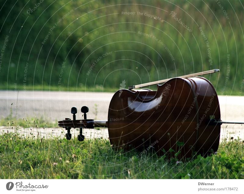 Das Violoncello Farbfoto Außenaufnahme Textfreiraum oben Tag Licht Musik Geige Gras Garten Park Wiese Straße Spielen Bildung Freude Stil Stimmung Cello